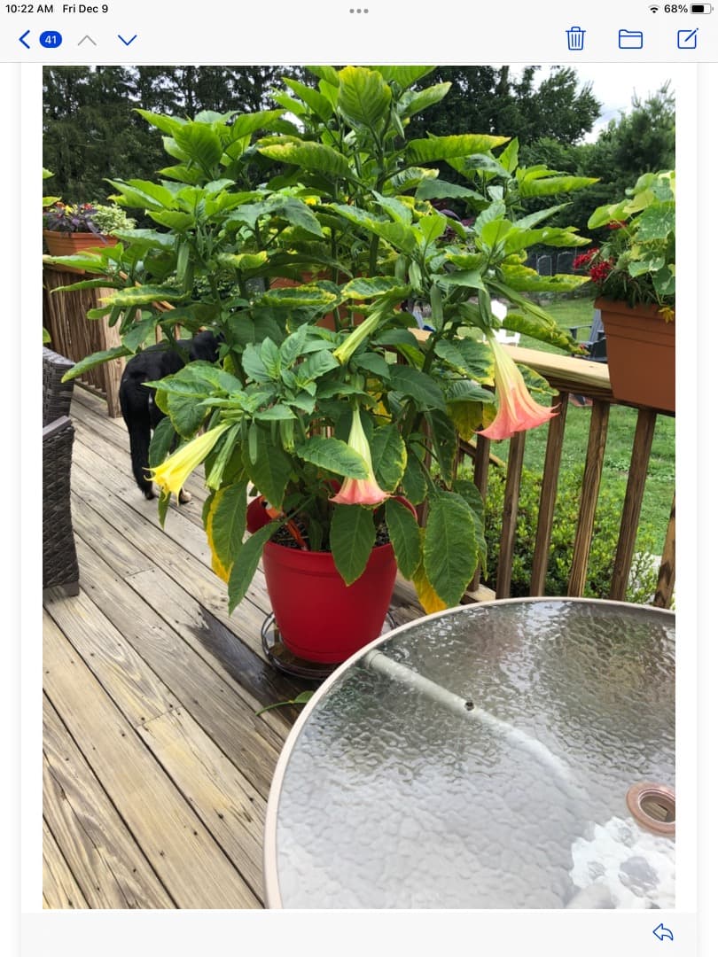 Planting Services
