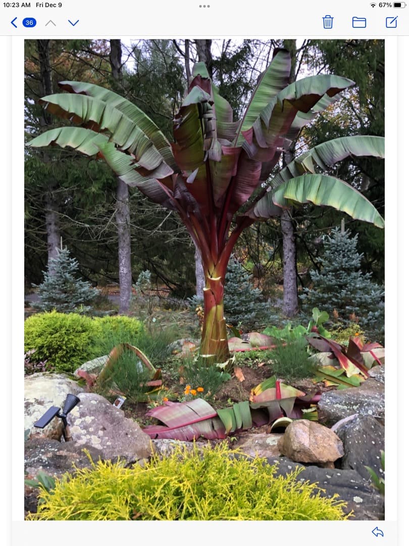Landscape Design
