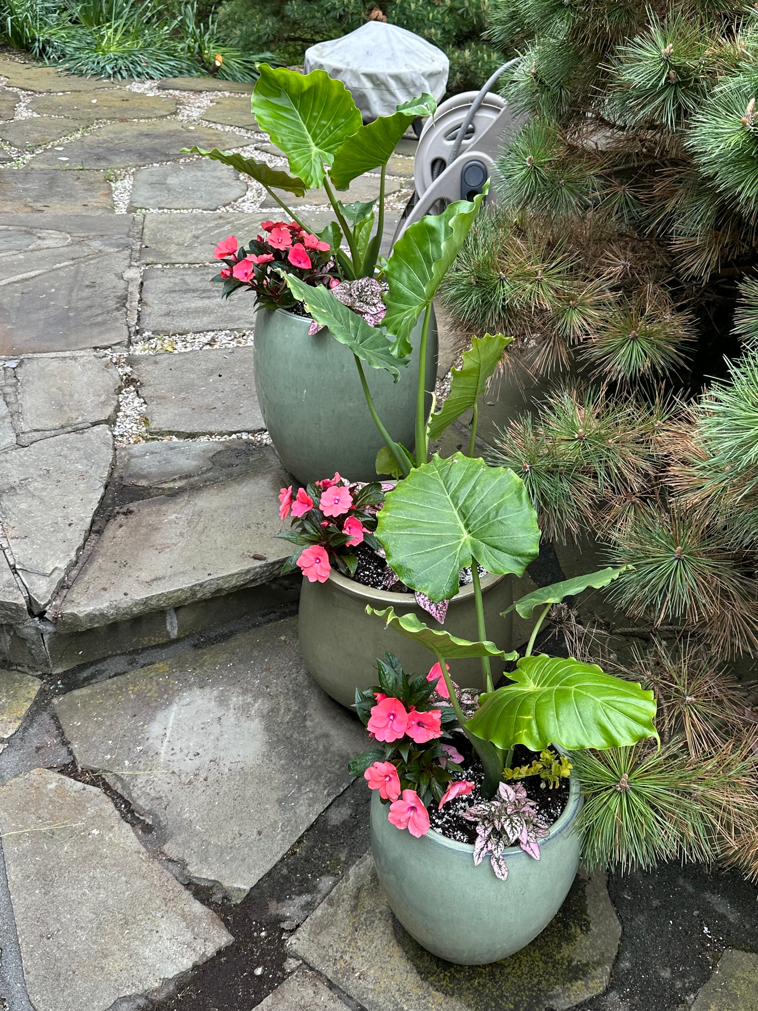 Gallery image 11